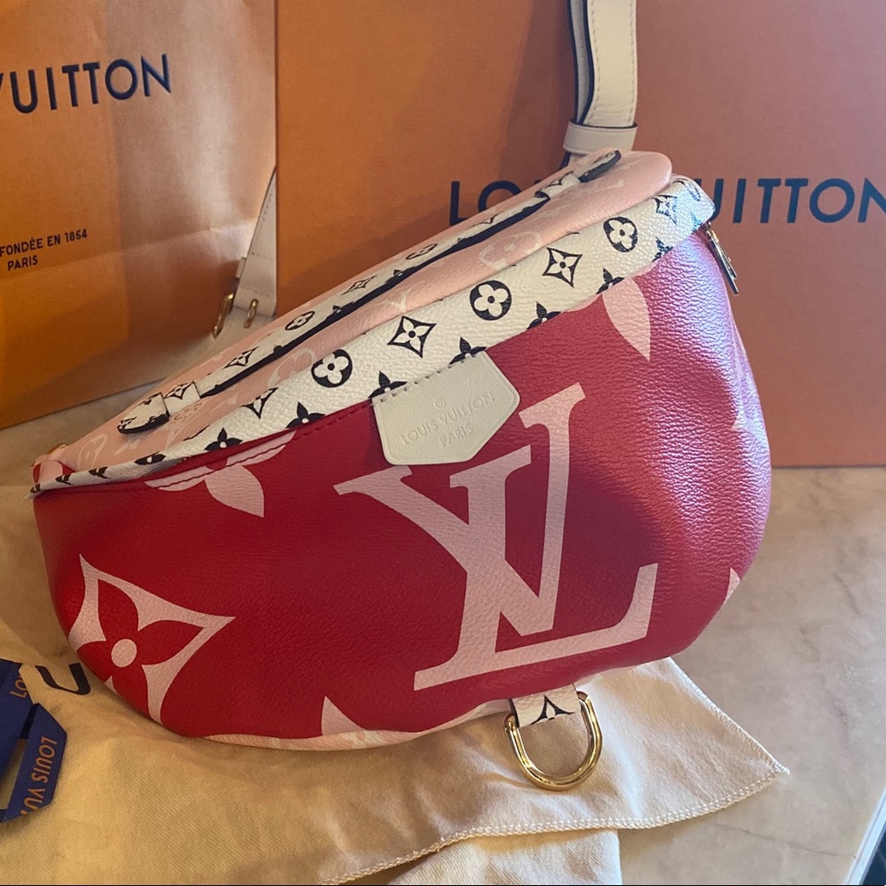 Louis Vuitton Giant Monogram Bumbag
